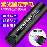 多功能紫光检测鉴定手电