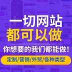 专业企业网站开发部署上线服务